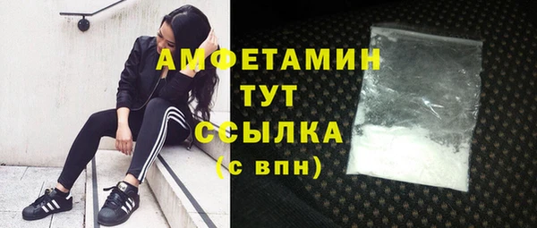 спиды Белокуриха