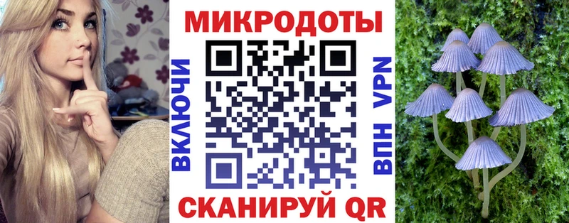 Псилоцибиновые грибы MAGIC MUSHROOMS сайты даркнета клад Сланцы